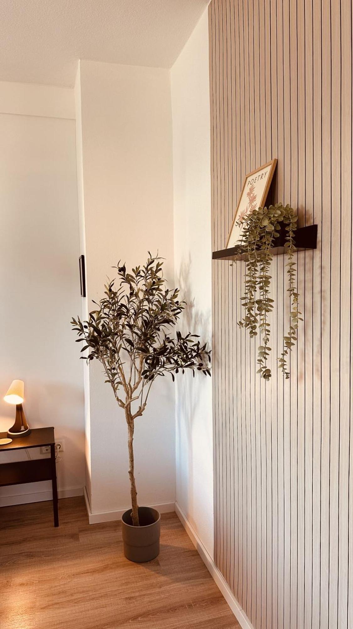 ויידן Apartment Mit Netflix - Parken - Kueche - Bad מראה חיצוני תמונה